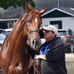 Veterinary Growth Hormone & Muscle Development Supplements