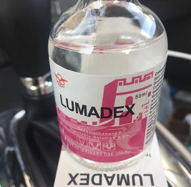 Lumadex-LUMADEX-50ml-1.jpg