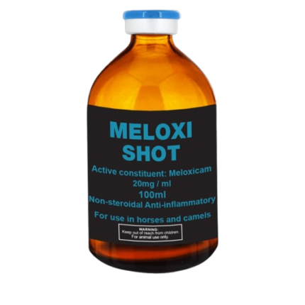 Buy Meloxi Shot Injection – Trusted Equine Anti-Inflammatory Therapy