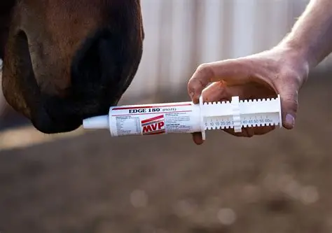 Where to buy dewormer for horses online fast shipping