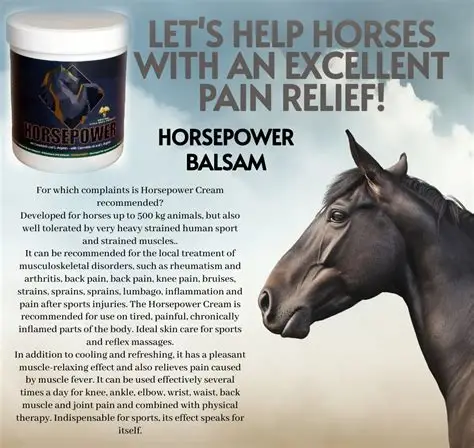 Affordable horse pain relief medicine for everyday use