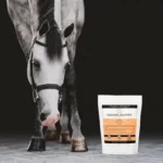 Buy Horse Medicines & Veterinary Treatments Online