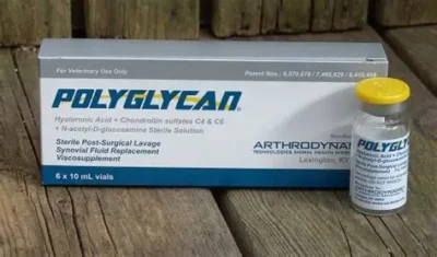 Buy Polyglycan 10ml – Restore Cartilage & Synovial Lubrication