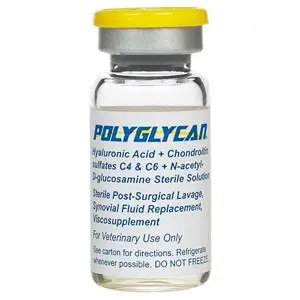 Buy Polyglycan 10ml – Restore Cartilage & Synovial Lubrication