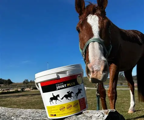 Horse Medicines For Sale Online - Oder directly from Home