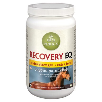 Recovery EQ Powder for sale