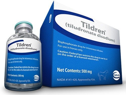 Tildren-1.jpg