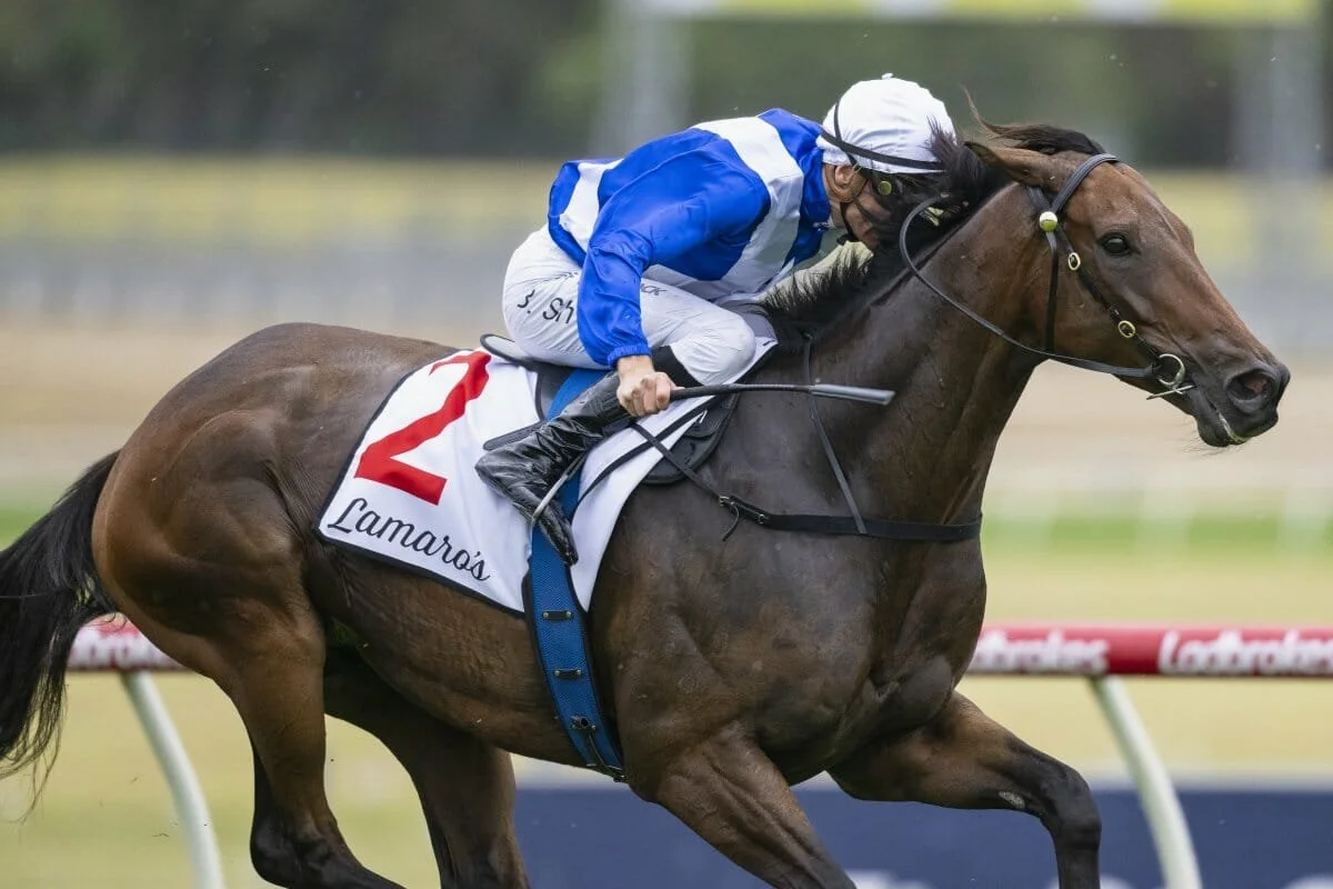 Boosting Racehorse Stamina: Blood Builders and Hemoglobin Explained