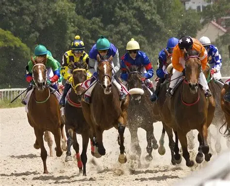 Maximizing Equine Stamina: The Science of Blood Builders and Hemoglobin