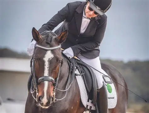 Managing Equine Stress: Safe Calming and Sedative Strategies