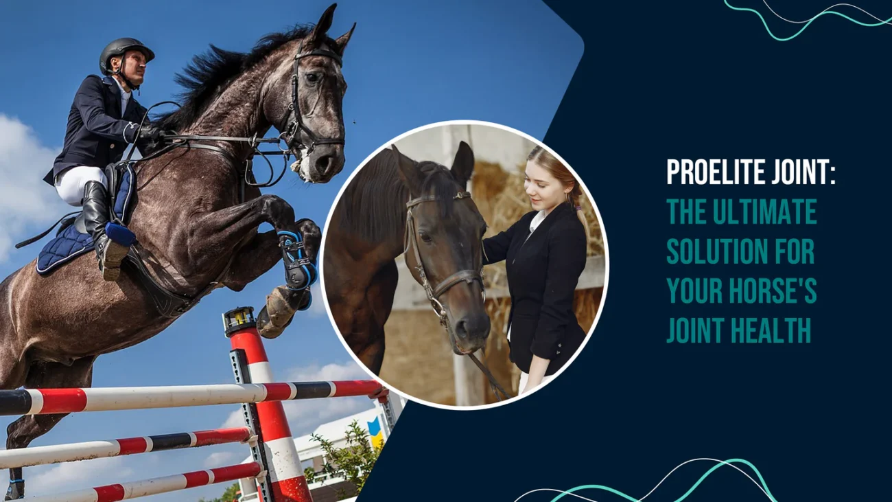 The Ultimate Guide to Equine Joint Health and Mobility
