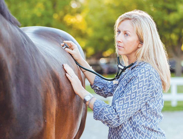 The Importance of Equine Digestive Health: Preventing Ulcers and Colic