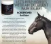 Affordable horse pain relief medicine for everyday use